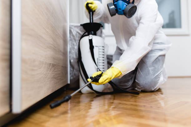 Best Pest Prevention Services  in Faison, NC