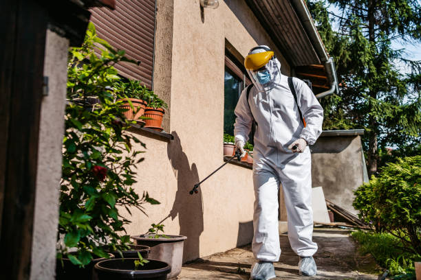 Best Affordable Pest Control Services  in Faison, NC