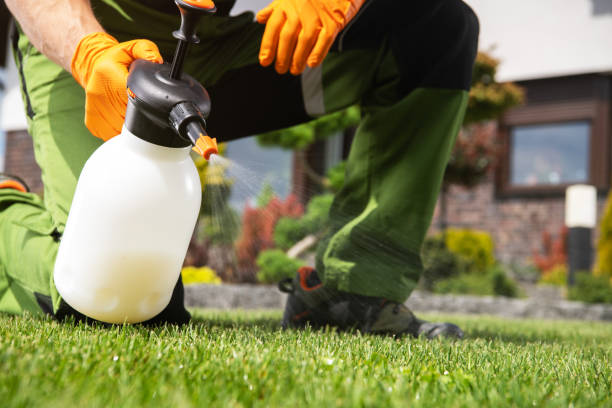 Best Bird Control  in Faison, NC