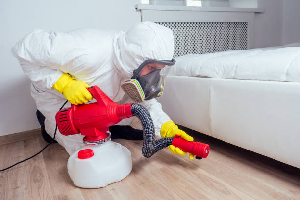 Trusted Faison, NC Pest Control Experts