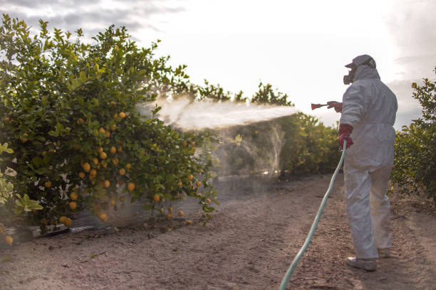 Best Cockroach Control Services  in Faison, NC
