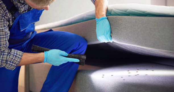 Best Affordable Pest Control Services  in Faison, NC