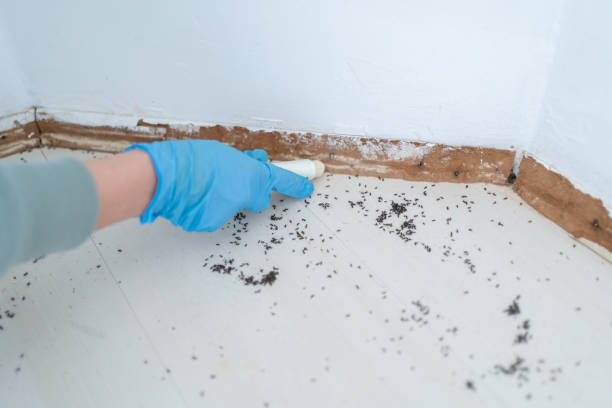 Best Best Pest Control Companies  in Faison, NC