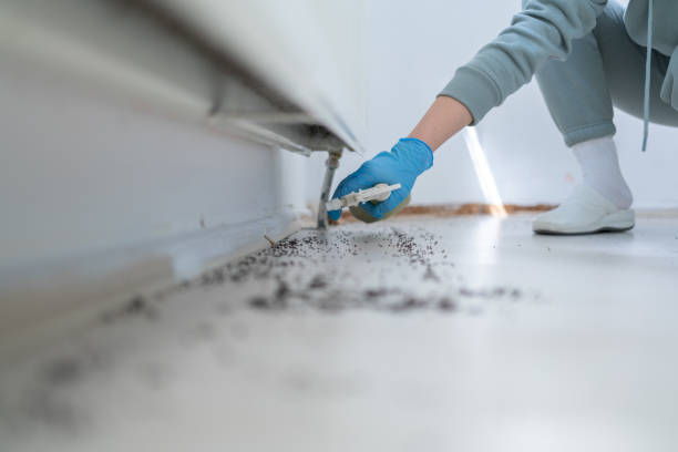 Best Pest Control for Restaurants  in Faison, NC