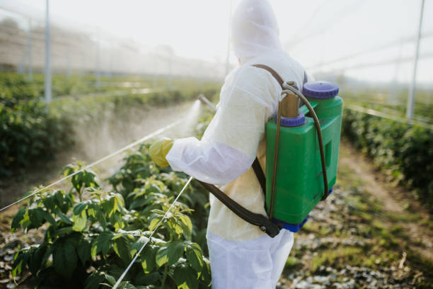 Pest Prevention Services in Faison, NC